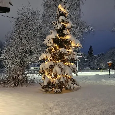 Rovaniemi City Apartment * Ροβανιέμι